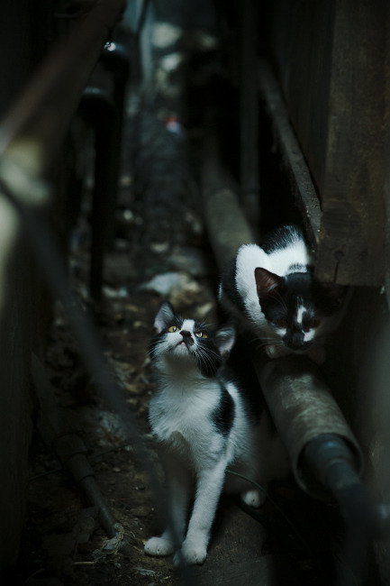 国足比赛高压逼抢执行力度分析,足球高压战术